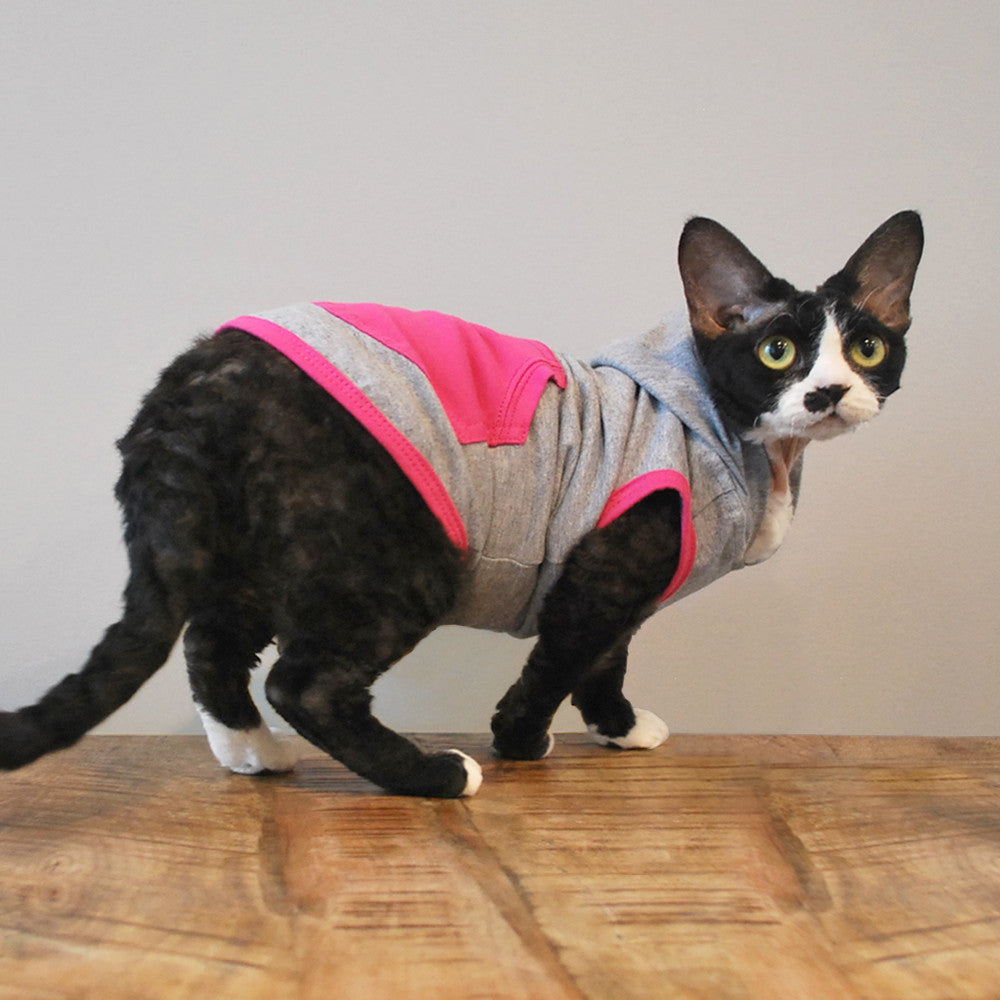 MostlyCatsMostly  Cat clothes, Cat fashion, Cats